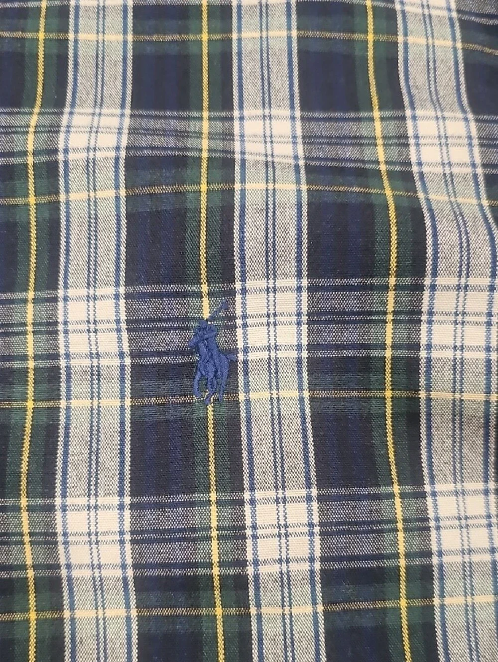 Polo by Ralph Lauren Navy and Green Plaid Button-Down Shirt